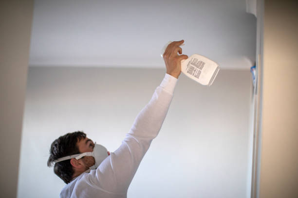 Best Affordable Mold Removal  in Paris, TX
