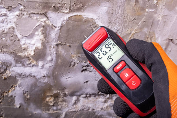 Best Best Mold Removal Companies  in Paris, TX