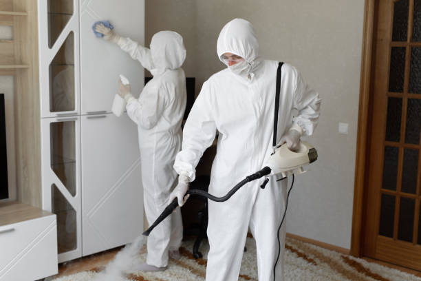 Best Fast Mold Removal  in Paris, TX