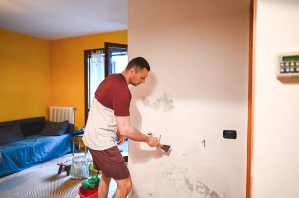 Best Toxic Mold Removal  in Paris, TX